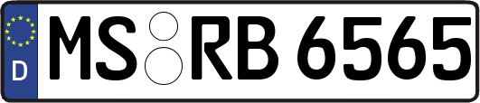 MS-RB6565