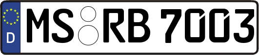 MS-RB7003