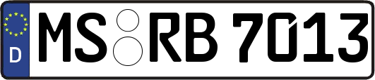 MS-RB7013