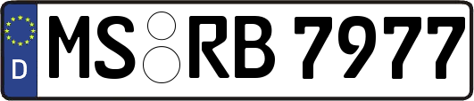 MS-RB7977