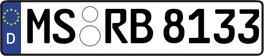 MS-RB8133