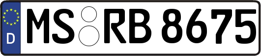 MS-RB8675