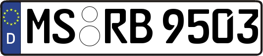 MS-RB9503