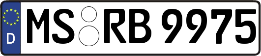 MS-RB9975