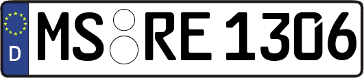 MS-RE1306