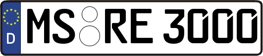 MS-RE3000