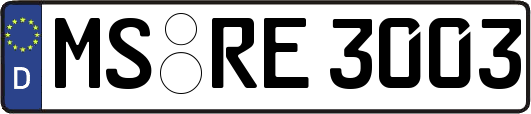 MS-RE3003