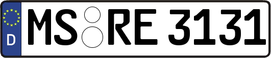 MS-RE3131