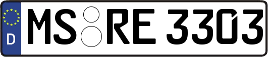 MS-RE3303