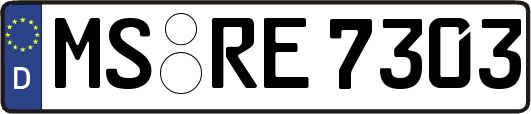 MS-RE7303