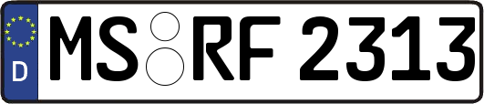MS-RF2313