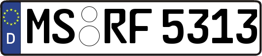 MS-RF5313