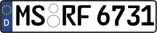 MS-RF6731