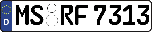 MS-RF7313