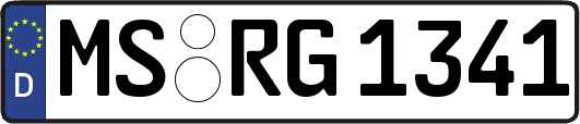 MS-RG1341