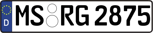 MS-RG2875