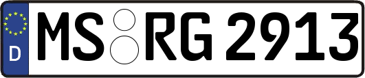 MS-RG2913