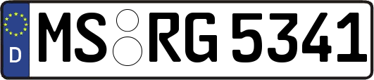 MS-RG5341