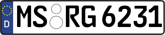 MS-RG6231