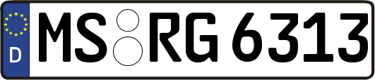 MS-RG6313