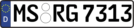 MS-RG7313