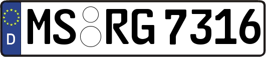 MS-RG7316