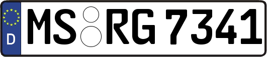 MS-RG7341