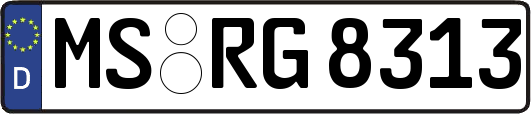 MS-RG8313