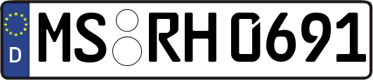 MS-RH0691
