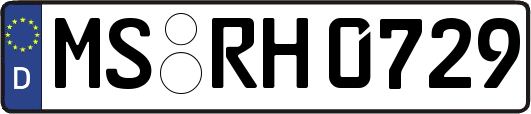 MS-RH0729