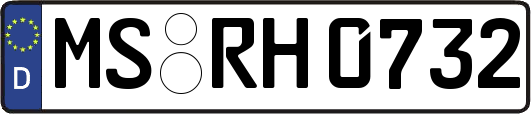 MS-RH0732