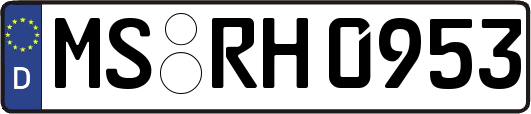 MS-RH0953
