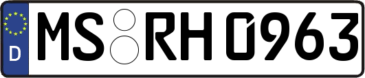 MS-RH0963