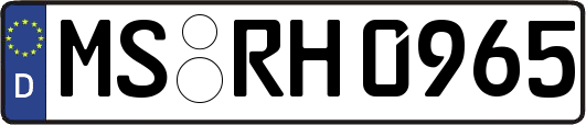 MS-RH0965