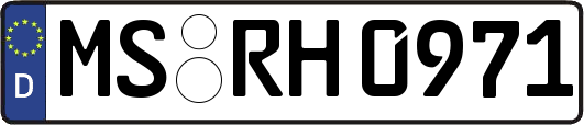 MS-RH0971