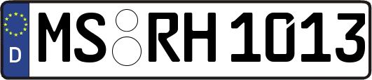 MS-RH1013