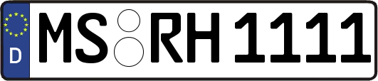 MS-RH1111