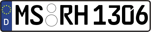 MS-RH1306