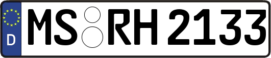 MS-RH2133