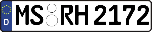 MS-RH2172