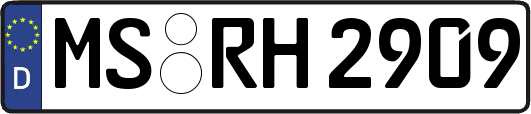 MS-RH2909