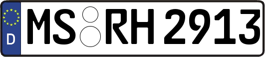 MS-RH2913