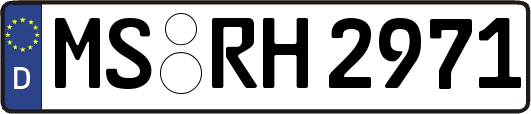 MS-RH2971