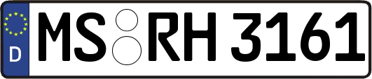 MS-RH3161