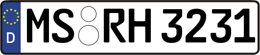 MS-RH3231