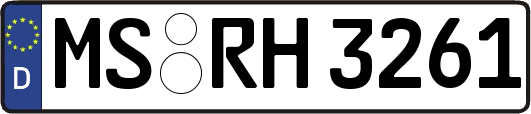 MS-RH3261