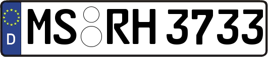 MS-RH3733