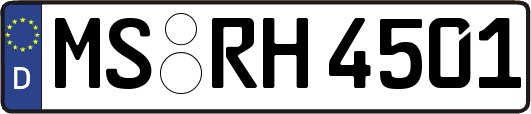 MS-RH4501