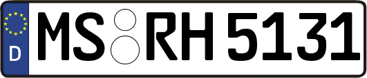 MS-RH5131