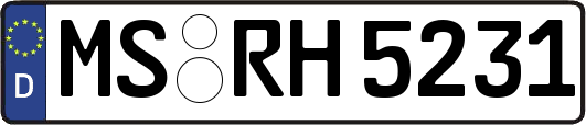 MS-RH5231